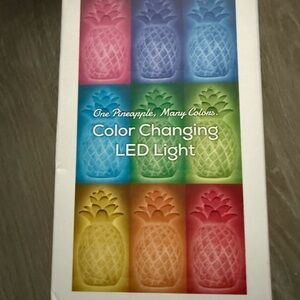 Color Changing LED Pineapple Light